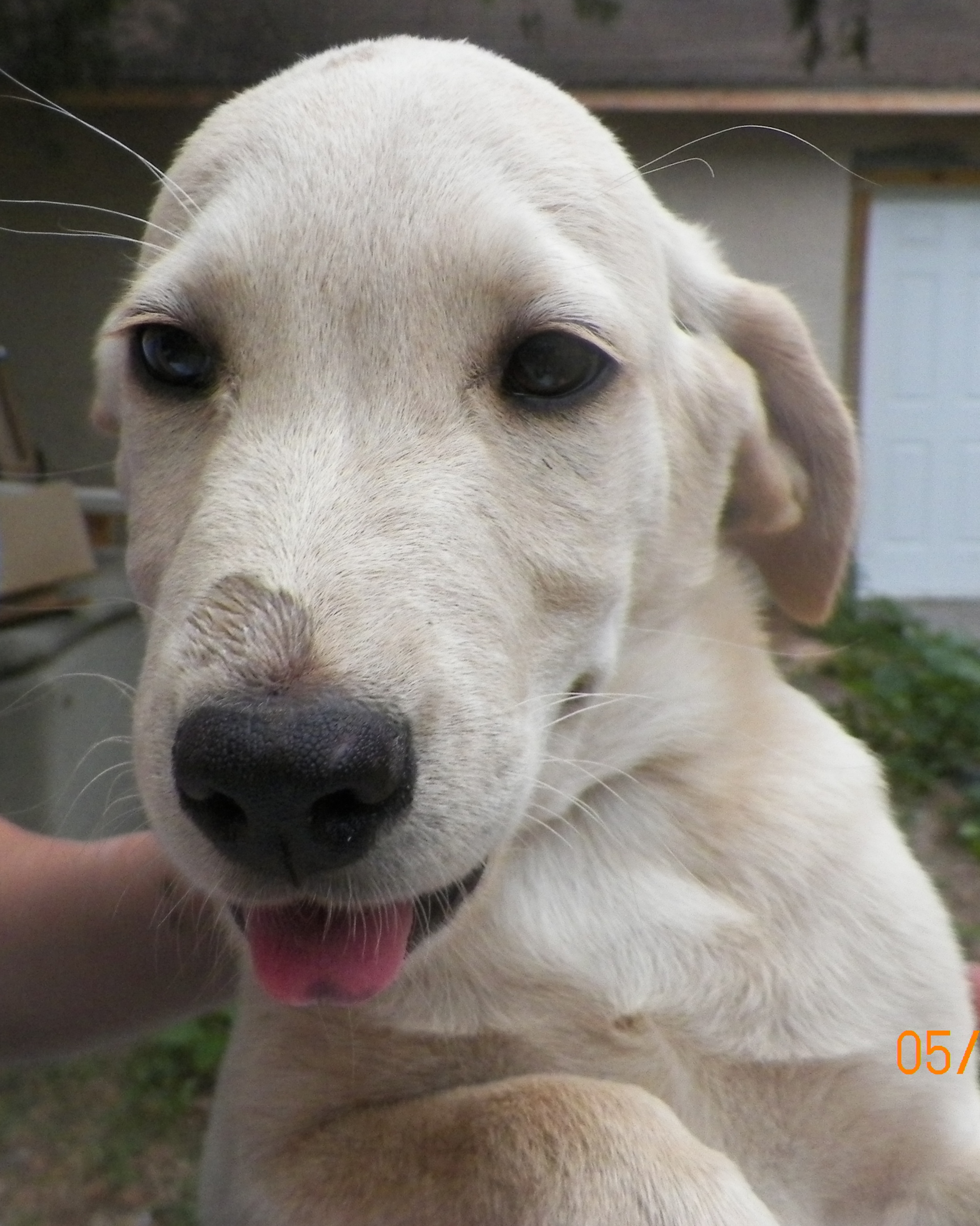 Meet Marlon